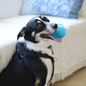 Веселая игрушка для домашних животных Wickedball 100% Автоматический прыгающий мяч, умная игрушка-дразнилка для кошек и собак, устойчивая к укусам