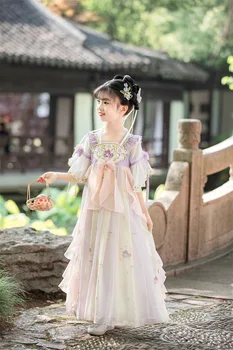 Китайский Косплей для девочек, Фиолетовая Цветочная вышивка, Hanfu, Детская фотография, Винтажное платье, костюм Древней Сказочной принцессы Тан